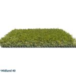 GP_Midland_40