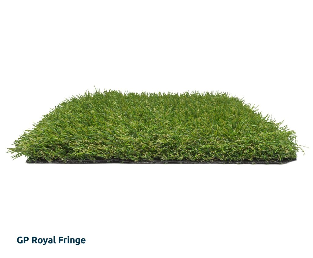 GP_Royal_Fringe_gras