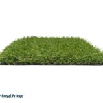 GP_Royal_Fringe_gras